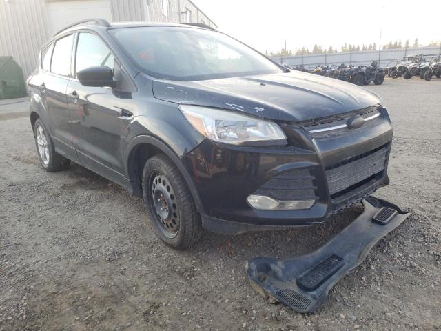 Photo 1 from auction – 2015 FORD ESCAPE SE with VIN 1FMCU9GX9FUC37835