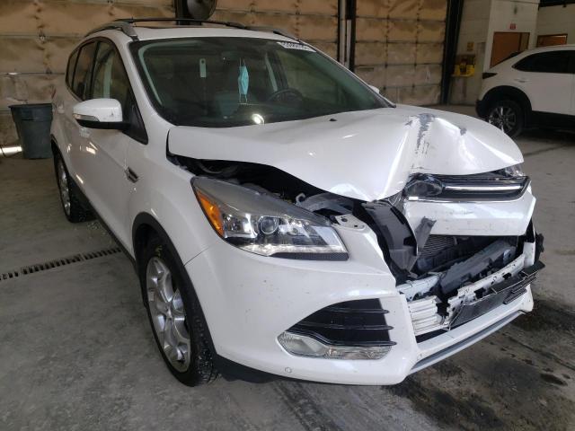 FORD ESCAPE TIT 2014 with VIN 1FMCU9J97EUB65087 - Photo from auction