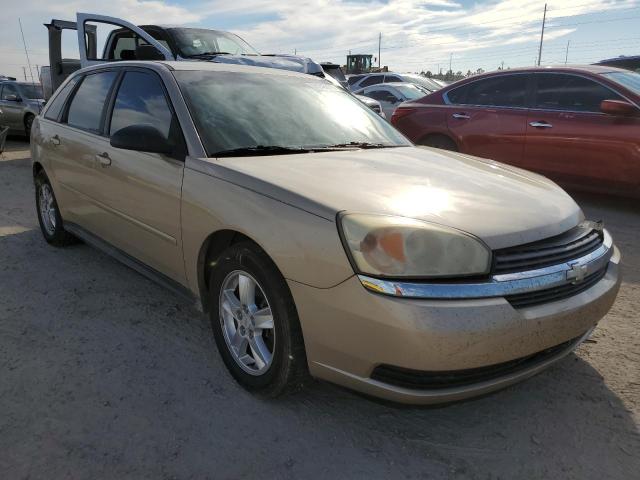 Photo 1 from auction – 2005 CHEVROLET MALIBU MAX with VIN 1G1ZT62865F315919