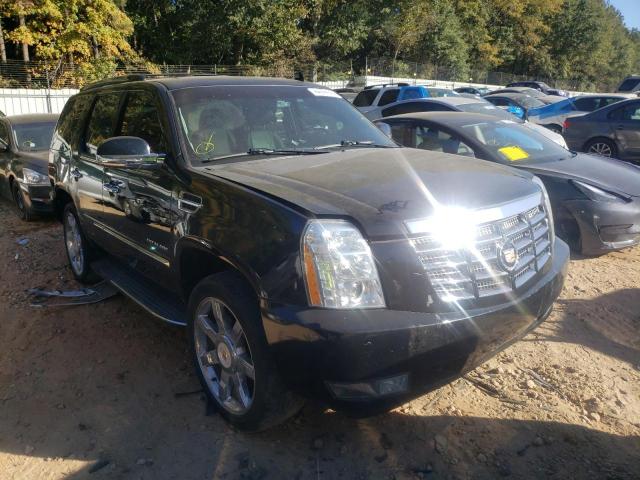 CADILLAC ESCALADE L 2013 with VIN 1GYS4BEFXDR105310 - Photo from auction
