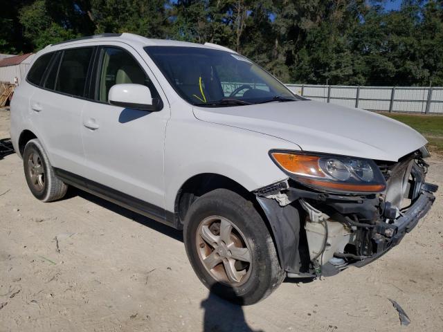 HYUNDAI SANTA FE G 2007 with VIN 5NMSG13D67H090094 - Photo from auction