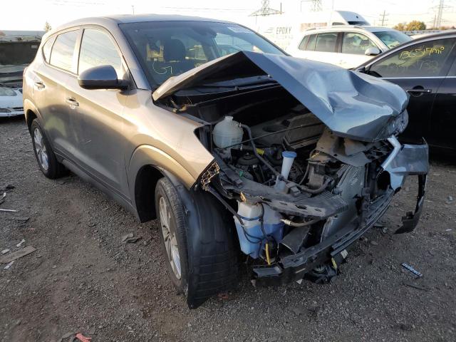 HYUNDAI TUCSON SE 2019 with VIN KM8J2CA47KU844299 - Photo from auction