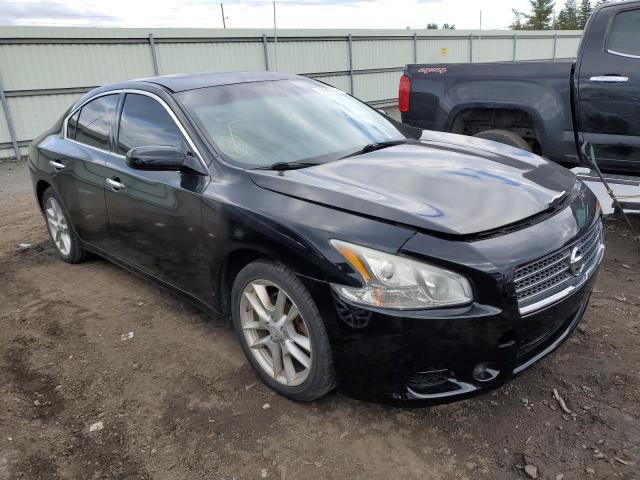 NISSAN MAXIMA S 2009 z numerem VIN 1N4AA51E19C814801 - Zdjęcie z aukcji