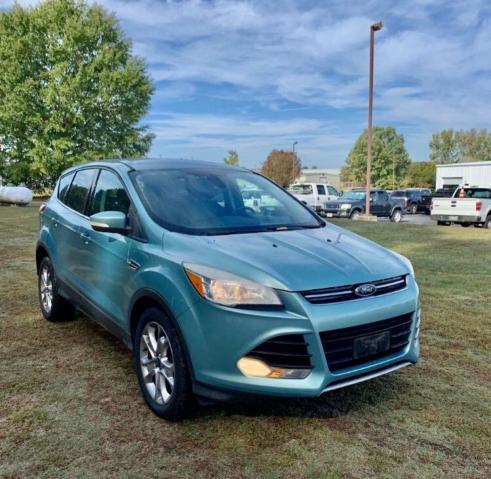 FORD ESCAPE SEL 2013 with VIN 1FMCU0HX0DUA74774 - Photo from auction