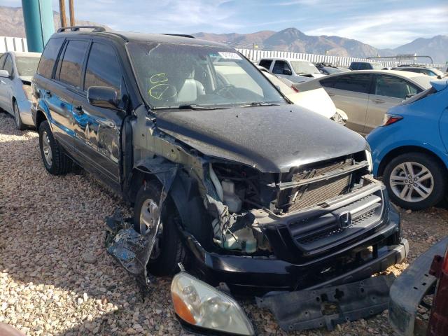 HONDA PILOT EXL 2004 with VIN 2HKYF18594H619440 - Photo from auction