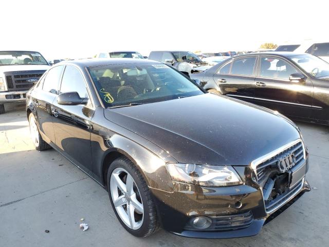 AUDI A4 PREMIUM 2010 with VIN WAUFFAFLXAN061888 - Photo from auction