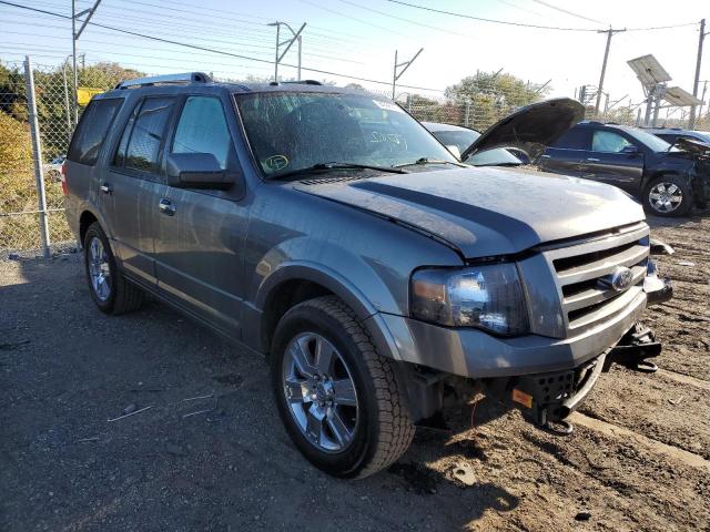 FORD EXPEDITION 2010 with VIN 1FMJU2A57AEB58432 - Photo from auction