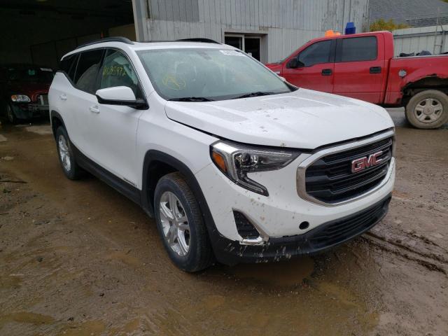 GMC TERRAIN SL 2019 with VIN 3GKALTEV2KL219389 - Photo from auction