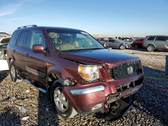 HONDA PILOT EXL 2008 with VIN 5FNYF18758B009704 - Photo from auction