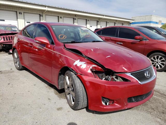 LEXUS IS 250 2009 with VIN JTHBK262995106985 - Photo from auction