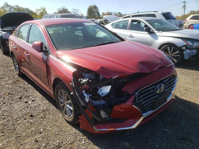 HYUNDAI SONATA SE 2019 with VIN 5NPE24AF4KH818976 - Photo from auction