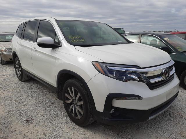 HONDA PILOT EX 2019 with VIN 5FNYF5H31KB020596 - Photo from auction