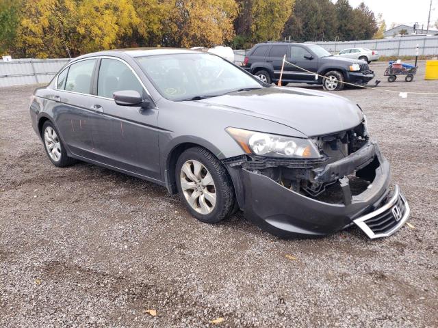HONDA ACCORD EX 2010 with VIN 1HGCP2F79AA804688 - Photo from auction