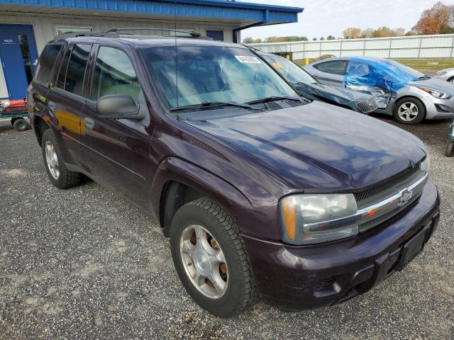 CHEVROLET TRAILBLAZE 2008 with VIN 1GNDT13S682261295 - Photo from auction