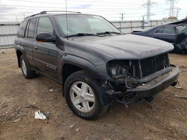 CHEVROLET TRAILBLAZE 2003 with VIN 1GNDT13S232193134 - Photo from auction