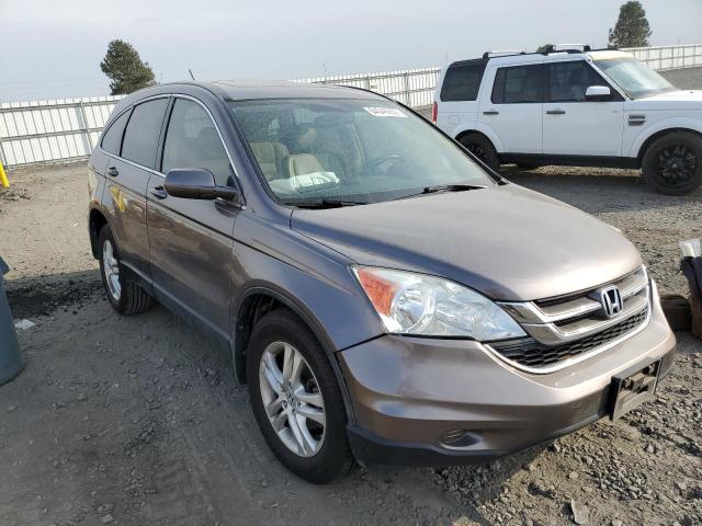 HONDA CR-V EXL 2011 with VIN 5J6RE3H73BL015096 - Photo from auction