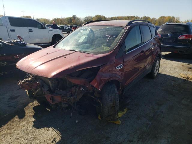 Photo 9 from auction – 2014 FORD ESCAPE SE with VIN 1FMCU0GX2EUB55326