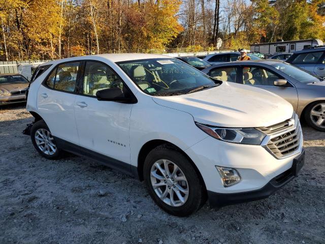 CHEVROLET EQUINOX LS 2019 with VIN 2GNAXHEV8K6281775 - Photo from auction