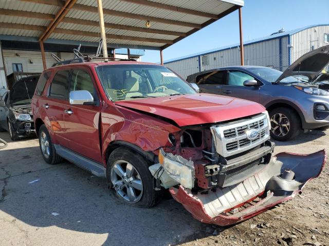 Photo 1 from auction – 2010 FORD ESCAPE XLT with VIN 1FMCU9D7XAKC63353