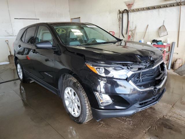 CHEVROLET EQUINOX LS 2019 with VIN 2GNAXSEV8K6216969 - Photo from auction