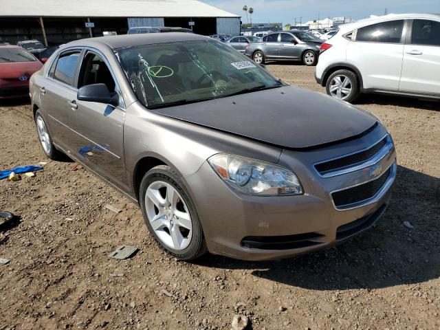 CHEVROLET MALIBU LS 2012 with VIN 1G1ZB5E0XCF219548 - Photo from auction