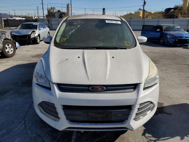 Photo 5 from auction – 2014 FORD ESCAPE SE with VIN 1FMCU0GXXEUC53813
