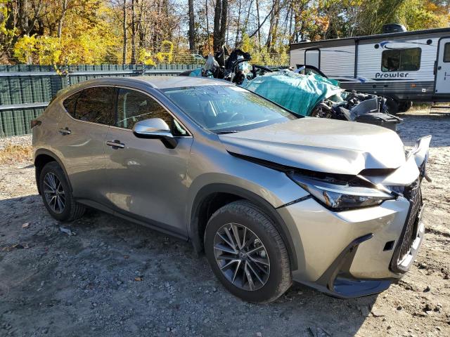 LEXUS NX 250 2022 with VIN 2T2ADCEZ2NC001581 - Photo from auction