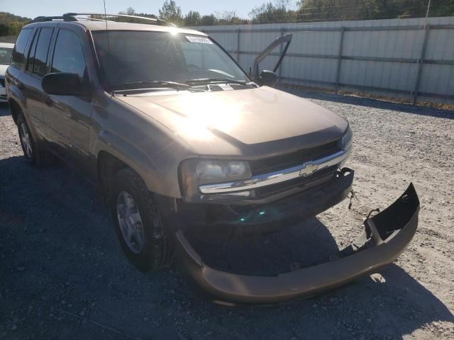 CHEVROLET TRAILBLAZE 2003 with VIN 1GNDT13S032384678 - Photo from auction