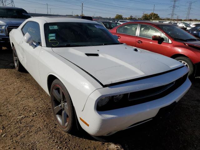 DODGE CHALLENGER 2013 with VIN 2C3CDYAG1DH552057 - Photo from auction