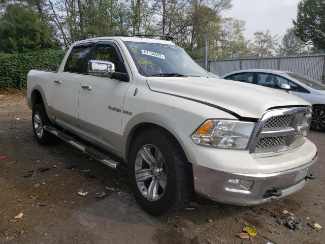 DODGE RAM 1500 2009 with VIN 1D3HV13T69S821404 - Photo from auction