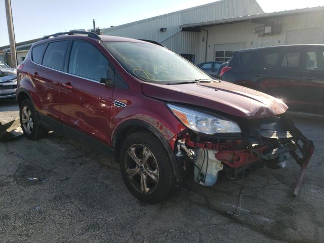 FORD ESCAPE 2014 with VIN 1FMCU0GX5EUB05553 - Photo from auction