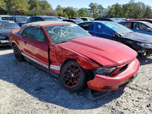 FORD MUSTANG 2011 with VIN 1ZVBP8EM7B5120041 - Photo from auction