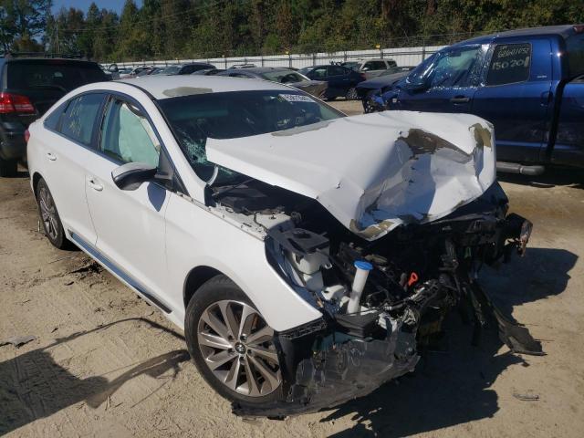 HYUNDAI SONATA SPO 2015 with VIN 5NPE34AF2FH020964 - Photo from auction