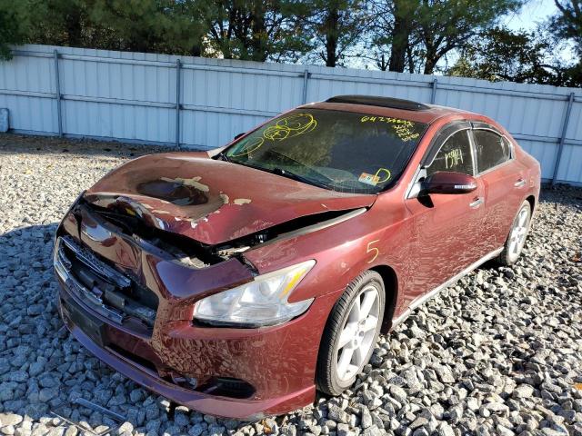 Photo 2 from auction – 2011 NISSAN MAXIMA S with VIN 1N4AA5AP9BC828209