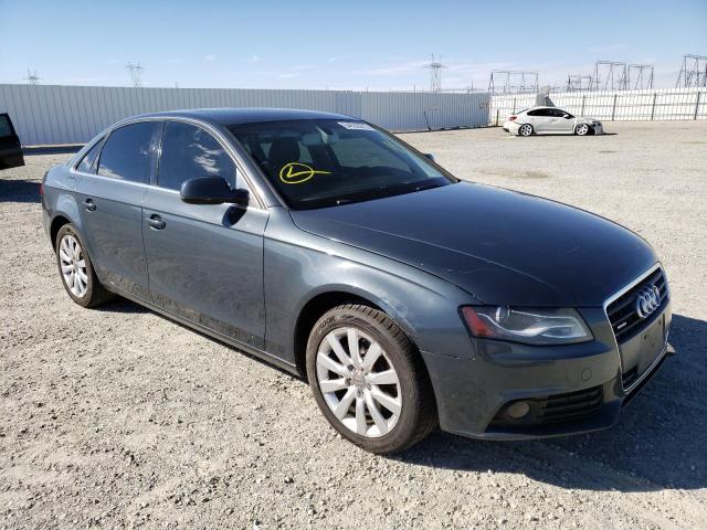 AUDI A4 PREMIUM 2010 with VIN WAUFFAFL5AN058588 - Photo from auction