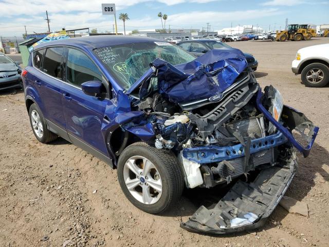 FORD ESCAPE SE 2014 with VIN 1FMCU0GX1EUA84801 - Photo from auction