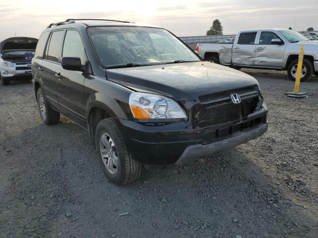 HONDA PILOT EXL 2005 with VIN 2HKYF187X5H570901 - Photo from auction