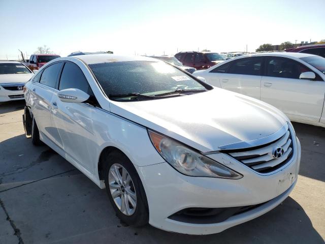 HYUNDAI SONATA GLS 2014 with VIN 5NPEB4AC9EH828378 - Photo from auction