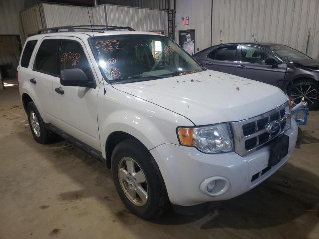 FORD ESCAPE XLT 2010 with VIN 1FMCU9DGXAKD23826 - Photo from auction