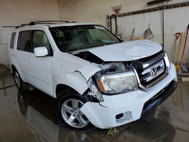 HONDA PILOT EXL 2009 with VIN 5FNYF48529B042810 - Photo from auction