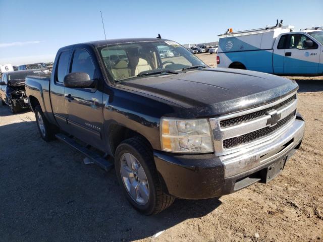CHEVROLET SILVERADO 2009 with VIN 1GCEC29C59Z281288 - Photo from auction