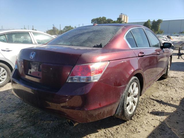 Photo 4 from auction – 2010 HONDA ACCORD EXL with VIN 1HGCP2F8XAA005155