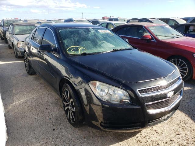 CHEVROLET MALIBU LS 2012 with VIN 1G1ZB5E02CF151892 - Photo from auction