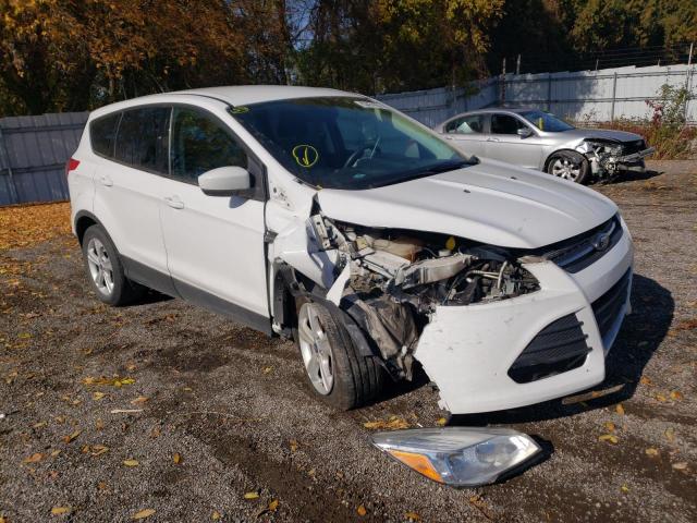FORD ESCAPE SE 2014 with VIN 1FMCU0GX4EUD12435 - Photo from auction