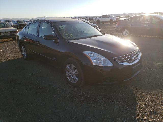 NISSAN ALTIMA HYB 2010 with VIN 1N4CL2AP8AC100414 - Photo from auction