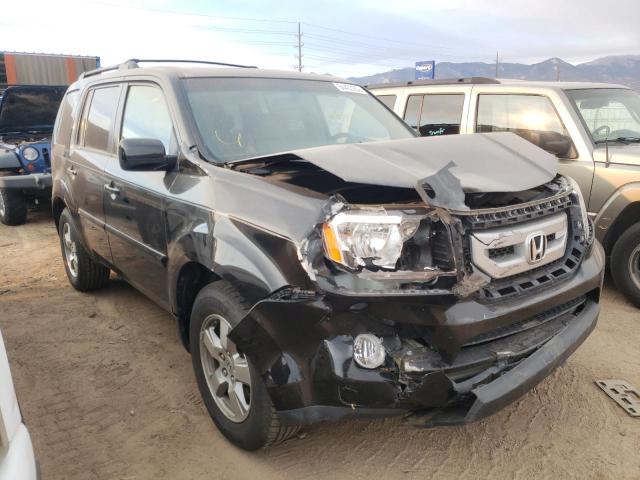 HONDA PILOT EXL 2009 with VIN 5FNYF48529B033802 - Photo from auction