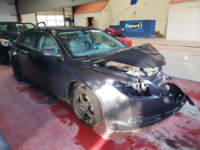 CHEVROLET MALIBU LS 2012 with VIN 1G1ZB5E02CF183810 - Photo from auction