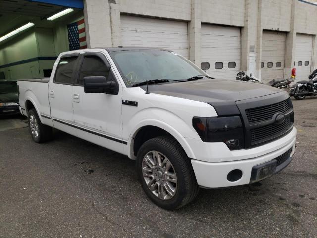 FORD F150 SUPER 2010 with VIN 1FTFW1CV7AFB40230 - Photo from auction