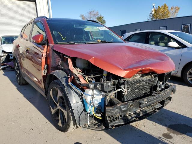 HYUNDAI TUCSON LIM 2017 with VIN KM8J3CA24HU557734 - Photo from auction