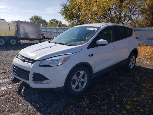 Photo 2 from auction – 2014 FORD ESCAPE SE with VIN 1FMCU0GX4EUD12435